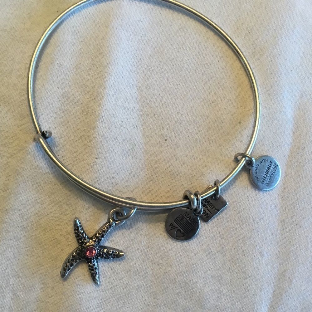 Alex & Ani Silvertone Bangle - Picture 2 of 7